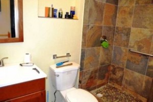 bathroom-and-shower